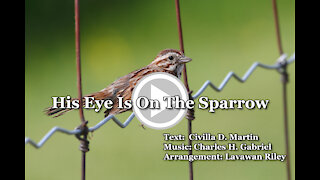 "His Eye Is On The Sparrow" - Piano Praise