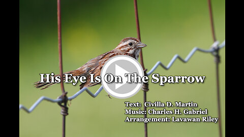 "His Eye Is On The Sparrow" - Piano Praise