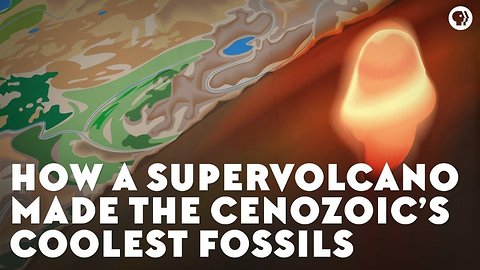 How a Supervolcano Made the Cenozoic’s Coolest Fossils
