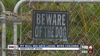 Two children attacked by pit bull mix in North Fort Myers