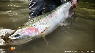 Steelhead Rods, Reels, Gear, Featuring Owin Hayes