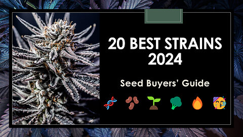 20 Best Strains in 2024: Seed Buyers' Guide