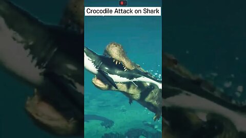 Crocodile Attack on Shark😱💯🔥👈 #crocodile #shorts #viral
