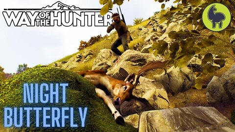 Night Butterfly, Lempira's Cabin Jobs, Transylvania | Way of the Hunter (PS5 4K)