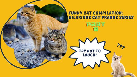 Funny Cat Compilation: Hilarious Cat Pranks Series - Part 9