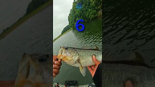 10 BASS Caught!! Best Day FISHING Yet!! #bassfishing #largemouthbassfishing