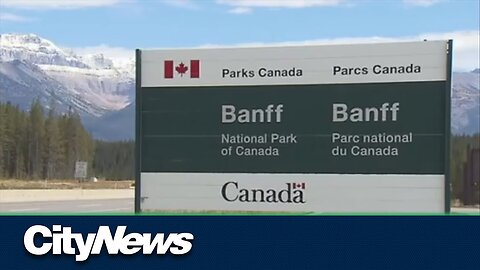 Husband and wife killed in bear attack at Banff National Park