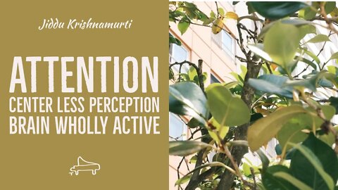 J Krishnamurti | Attention~Center less perception~Brain wholly active | immersive pointer | piano A
