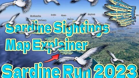 Sardine Run Map Explainer 22 May 2023