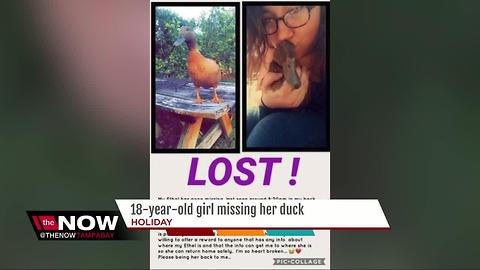 18-year-old girl missing her duck