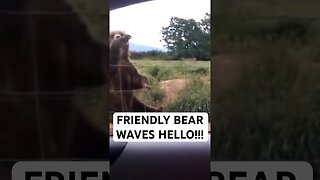 FRIENDLY BEAR WAVES HELLO