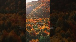 Uma beleza chamada natureza.