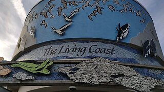 The Living Coast At The Brookfield Zoo