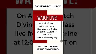 WATCH LIVE: On Sunday, April 16, 2023, watch Divine Mercy Sunday Holy Mass on EWTN