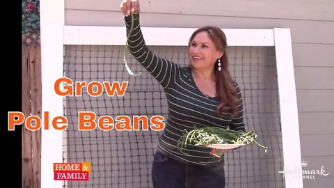 How to Grow Pole Beans, Step by Step