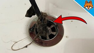 I have NEVER cleaned my drain so EASILY Watch and BE AMAZED 💥
