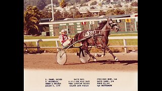 My 1980 Los Alamitos Horse Racing Accident