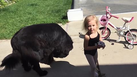 Ballerina runs out of treats for her giant puppy