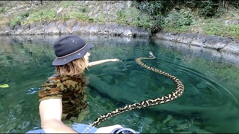 MONSTER Snake HUNTING Australia & RARE TURTLE Encounter!