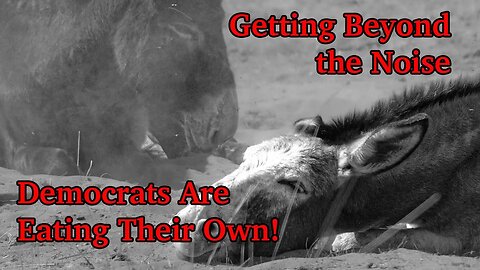Getting Beyond the Noise ~ Democrats Are Eating Their Own!