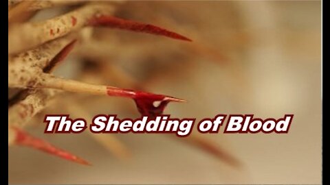 Shedding Of Blood - Communion #8