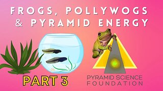 Frogs, Pollywogs & Pyramid Power Experiment Part 3