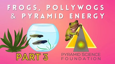 Frogs, Pollywogs & Pyramid Power Experiment Part 3