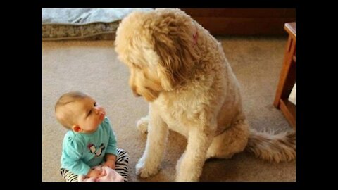 Adorable Babies Playing With Dogs and Cats- Funny Babies Compilation!