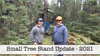 Tree Stand Update Fall 2021