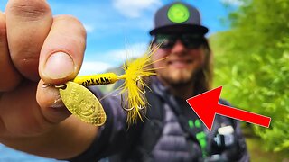 ONE LURE TROUT FISHING CHALLENGE - PATAGONIA EDITION