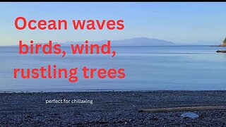 Ocean Waves, rustling trees, birds perfect for relaxation, yoga, meditation, reading, sleep, study.