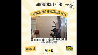 🌻 Lucka 19 Solrosorna fortsätter växa