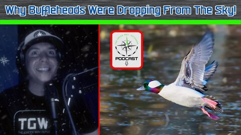 Thousands Of Bufflehead Ducks Fall From The Sky - True Story - The Green Way Outdoors Podcast Clips