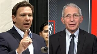 Trump vs DeSantis - an orchestrated division?