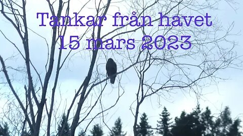 Tankar från havet 15 mars 2023