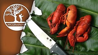 Bushcraft Catching & Cooking Crayfish