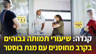 קנדה: שיעורי תמותה גבוהים בקרב מחוסנים עם מנת בוסטר