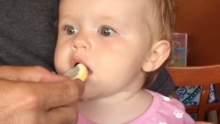 Baby makes hysterical face after tasting lemon