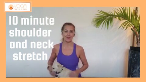 10 Minute Beginner Shoulder and Neck Stretch