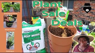 Fall Season Plant Deals- Reloaded