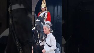 A very sweet horse wants to love #horseguardsparade