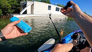 I Tossed a GoPro and Shrimp to an Abandoned Boat THIS HAPPENED Florida Keys 2023 Series