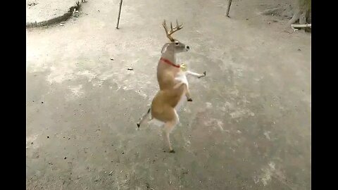 Wow 😲 nice Dance