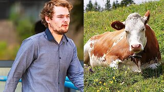 Man pleads guilty to s*x with cow