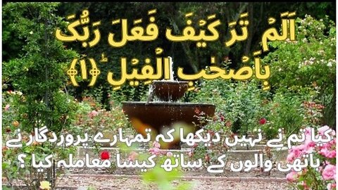 Surah: Al-fill with urdu translation by Qari Sudais (Abdurrahman Al-Sudais) | HafizMSannan