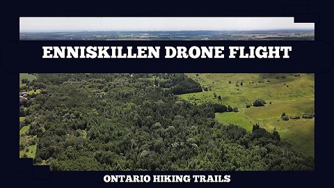 Enniskillen Conservation Area Drone Flight Over The Forest.