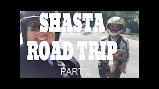 【Travel California】Lake Shasta Road Trip Day 2 & 3