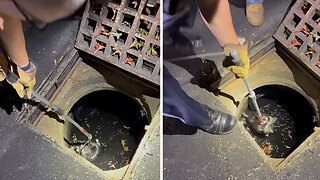 Police officers rescue raccoon from a catch basin