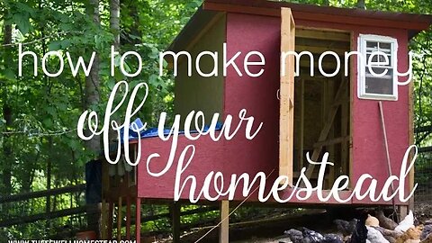 Making Money Off of Your Homestead | The Work From Home Series