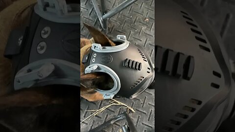 CS-1 K9 Helm with Active hearing mounts